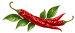 rajbhoj masale mirchi illustration